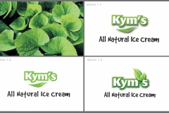 kyms-presentation-1-2